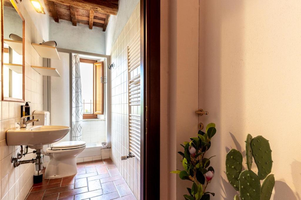 Massa Alta B&B E Appartamenti Massa Marittima Bagian luar foto